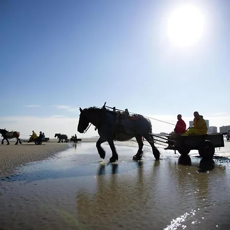Attic In By The Apartman